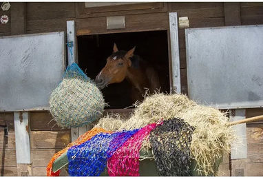 Produktbild von hippotonic Heunetz mit 8 cm Maschenweite in Lila