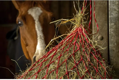 Produktbild von Hippotonic Heunetz Zari in Rot Größe L
