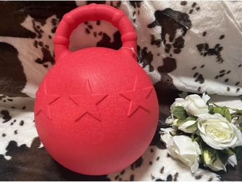 Produktbild von Hippotonic Pferdespielball aus Kunststoff in Rot mit Griff
