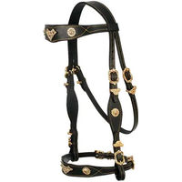 Produktbild von Hispano Hipica Bridon Full Leder Schwarz