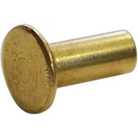 Produktbild von Hispano Hipica Farrier Nieten aus Messing in Gold