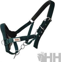 Hispano Hipica Halfter und Stricke für Ponys aus Nylon in Grün – Bild 1 von 1