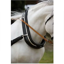 Hispano Hipica Leder-Pferdehalfter Extra – Bild 1 von 1