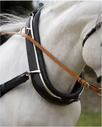 Hispano Hipica Leder-Pferdehalfter Extra für Ponys in Schwarz aus Leder und Stahl – Bild 1 von 1