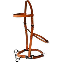 Produktbild von Hispano Hipica Leder Trense in Braun mit Bronze-Elementen