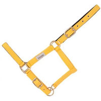 Produktbild von Hispano Hipica Lederhalfter für Pferde ohne Karabiner