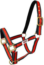 Hispano Hipica Lederhalfter für Pferde ohne Karabiner – Bild 1 von 1