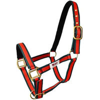 Produktbild von Hispano Hipica Lederhalfter für Pferde ohne Karabiner