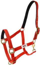 Hispano Hipica Nylon Halfter für Pferde und Ponys aus Nylon und Kunstleder – Bild 1 von 1