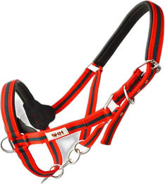 Produktbild von Hispano Hipica Pferd Halfter aus Nylon in Rot