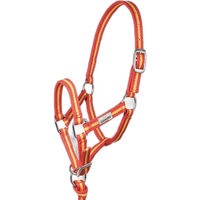 Produktbild von Hispano Hipica Pferdehalfter für Fohlen aus Nylon in Rot oder Bunt