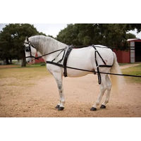 Produktbild von Hispano Hipica Pferdehalfter Hagen aus Nylon in Schwarz für Ponys