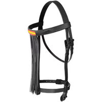 Produktbild von Hispano Hipica Reitzaum Vaquero Eco mit Spanischer Flagge aus Leder in Schwarz