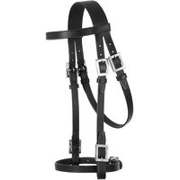 Produktbild von Hispano Hipica Reitzeug Eco aus Leder Full in Braun oder Schwarz