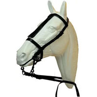 Produktbild von Hispano Hipica Westernhalfter für Pferde aus Leder in Schwarz