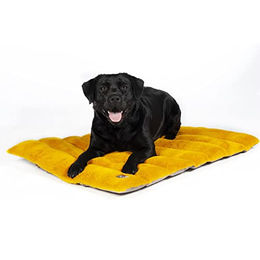 Produktbild von HKM ANAM Cara Hundedecke Taupe Größe M