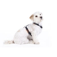 Produktbild von HKM ANAM Cara Hundegeschirr Schwarz/Rosegold Größe S