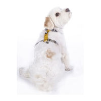 Produktbild von HKM ANAM Cara Hundegeschirr Taupe Goldgelb Größe S