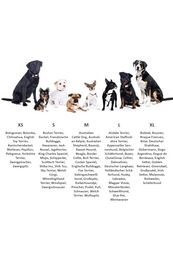 Produktbild von HKM ANAM Cara Hundehalsband aus Leder in Taupe Größe L