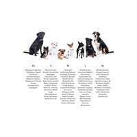 Produktbild von HKM ANAM Cara Hundehalsband aus Leder in Taupe Größe L