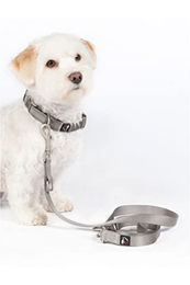HKM ANAM Cara Hundetrainingsleine aus Gurtband in Taupe Größe S - 2 m – Bild 1 von 1