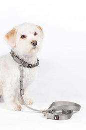 Produktbild von HKM ANAM Cara Hundetrainingsleine Schleppleine Goldgelb Größe M - 2 m