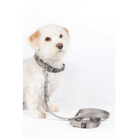 Produktbild von HKM ANAM Cara Hundetrainingsleine Schleppleine Goldgelb Größe M - 2 m