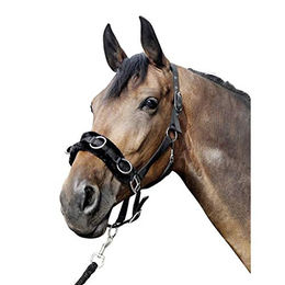 HKM Ausfallschritt 1167 Schwarz Pony One Size – Bild 1 von 1