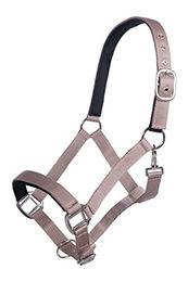 HKM Breakaway Sicherheitshalfter für Vollblut mit Klett-Sicherheitsverschluss Dunkelblau – Bild 1 von 1