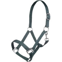 Produktbild von HKM Brisbane Nylonhalfter für Ponys in Grün