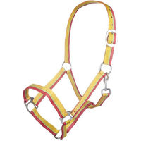 Produktbild von HKM Budapest Nylonhalfter für Ponys mit Kontraststreifen in Gelb Rot Apfelgrün