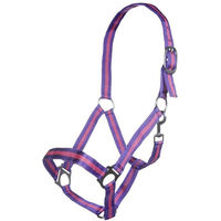 Produktbild von HKM Budapest Nylonhalfter für Vollblut in Lila/Pink mit Kontraststreifen