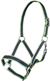 HKM Budapest Nylonhalfter für Warmblut in Navy/Grasgrün – Bild 1 von 1