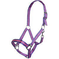 Produktbild von HKM Budapest Nylonhalfter für Pferde in Lila Bunt