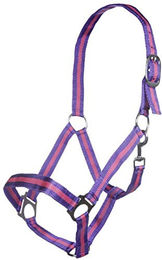 HKM Budapest Stallhalfter für Warmblut in Lila/Lavendel mit Kontraststreifen aus Nylon – Bild 1 von 1