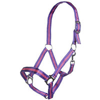 Produktbild von HKM Budapest Stallhalfter für Warmblut in Lila/Lavendel mit Kontraststreifen aus Nylon