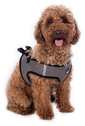 HKM Buddy Soft Hundegeschirr Grau Größe S – Bild 1 von 2