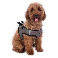 Produktbild von HKM Buddy Soft Hundegeschirr Grau Größe S