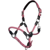 Produktbild von HKM Carlotta Lederhalfter für Pferde in Rosa
