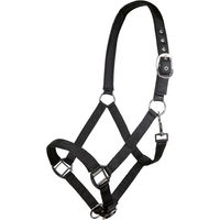 Produktbild von HKM Charming Nylonhalfter für Ponys mit weichem Futter in Schwarz