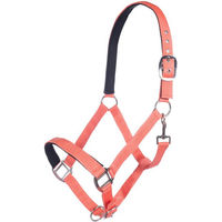 Produktbild von HKM Charming Stallhalfter für Warmblut aus Nylon in Koralle