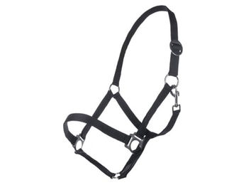 HKM Classic Stallhalfter für Pferde mit Edelstahlbeschlägen Schwarz Pony – Bild 1 von 1