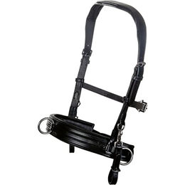 HKM Comfort Lederhalfter für Vollblut in Schwarz – Bild 1 von 3