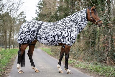 HKM Ekzemerdecke Zebra für Pferde aus Polyester Grösse 125 – Bild 1 von 8