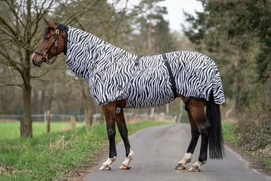 HKM Ekzemerdecke Zebra für Pferde aus Polyester in Schwarz-Weiß Größe 115 – Bild 1 von 9