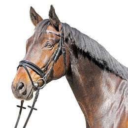 Produktbild von HKM Euroriding Trense Grasse schwedisches Reithalfter aus Leder in Schwarz für Ponys