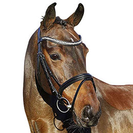 HKM Euroriding Trense La Rochelle englisch kombiniertes Reithalfter aus Leder für Warmblut in Braun – Bild 1 von 5