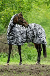 HKM Fliegendecke mit Halsteil und Bauchlatz Zebra Muster Größe L – Bild 1 von 5