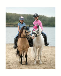 HKM Fliegenhaube Nele für Ponys in Pink – Bild 1 von 3