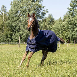 HKM Fohlendecke Professional mit Polarfleece in Dunkelblau – Bild 1 von 2